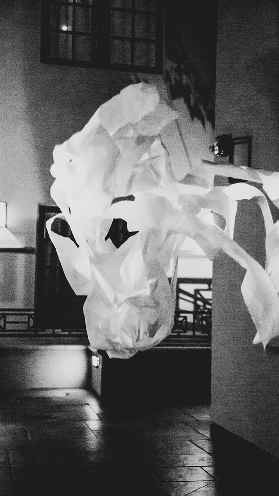 Black and white installation photograph