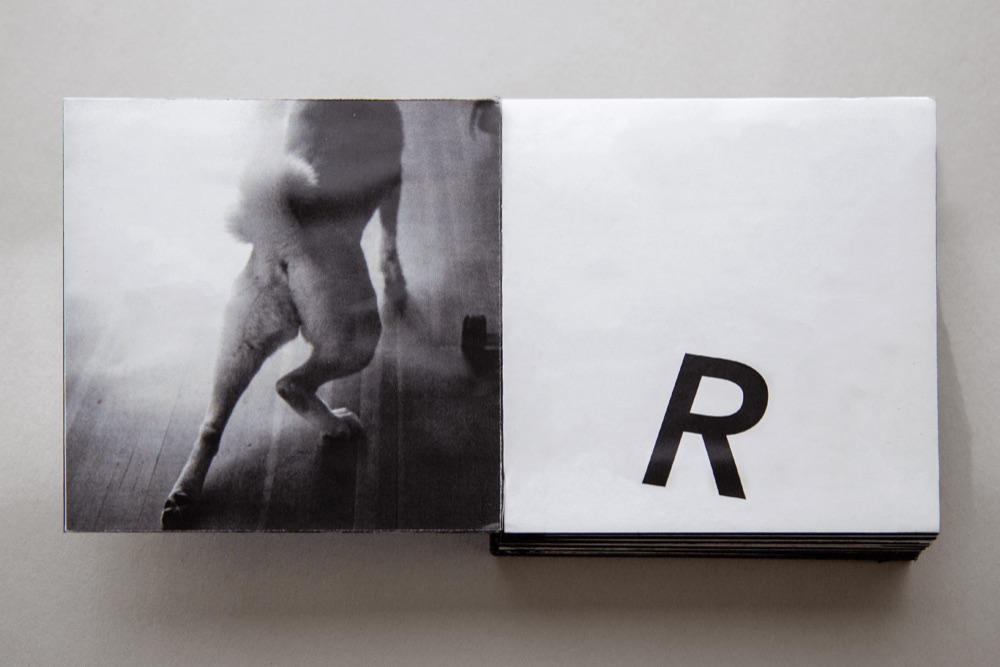 RISD book spread with dog photograph