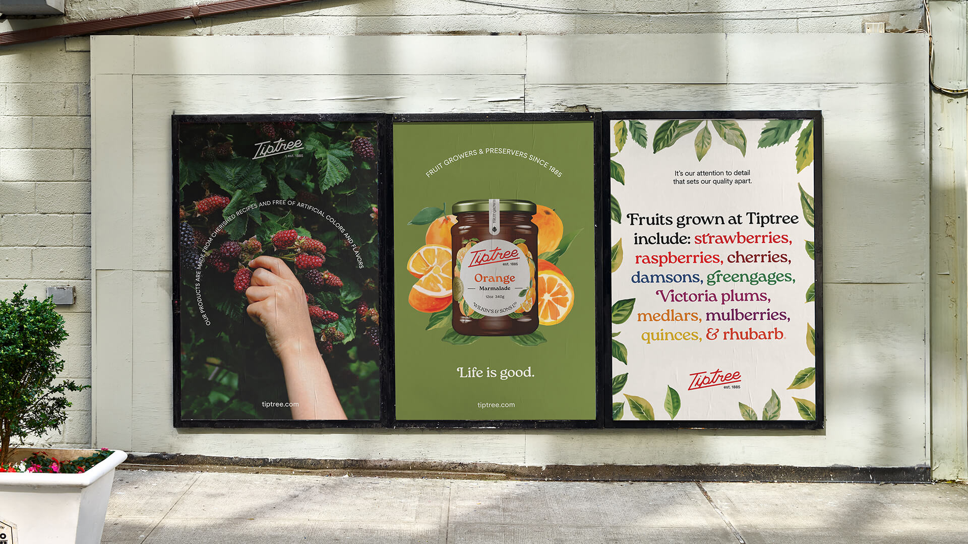 Tiptree street advertising mockup