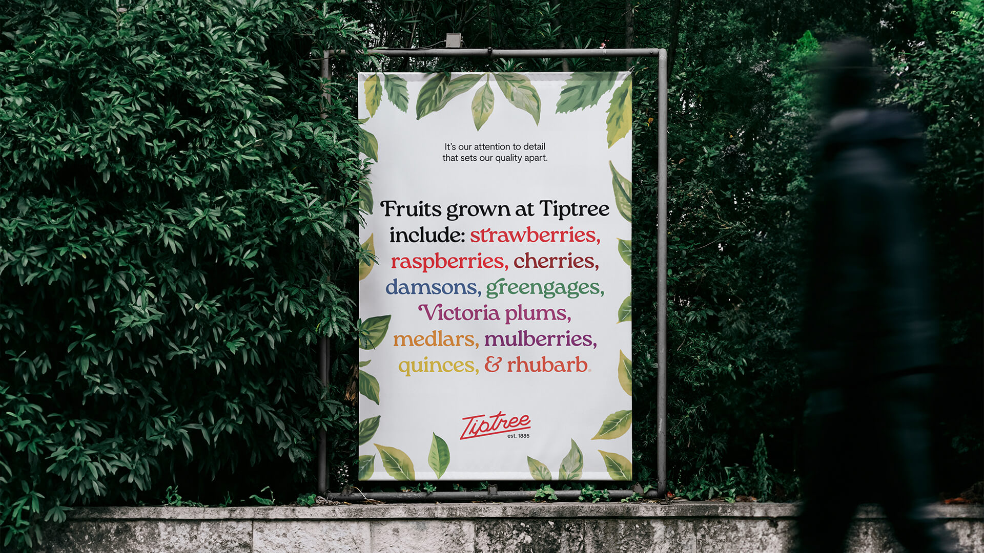 Tiptree transit ad mockup