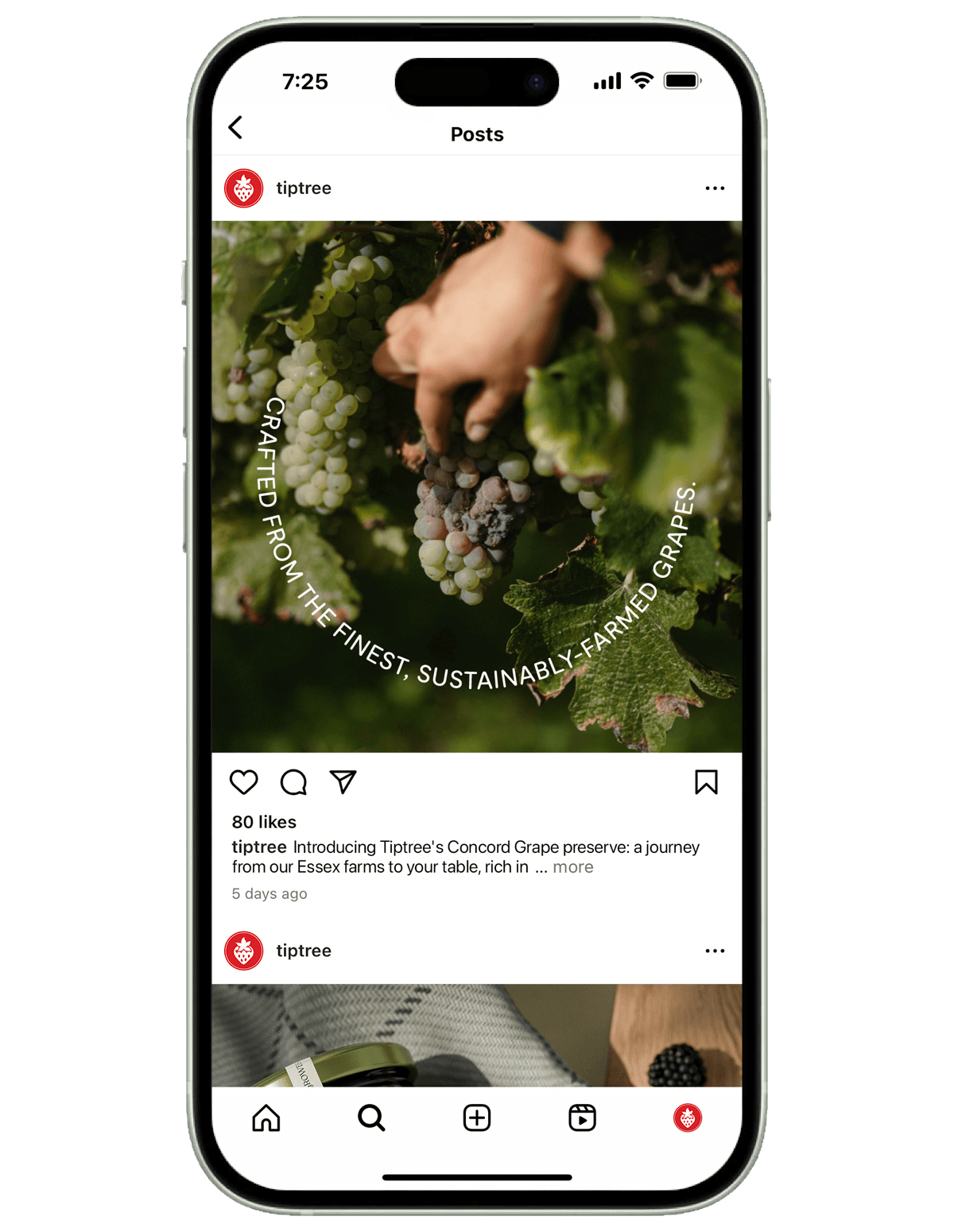 Tiptree social post on a phone